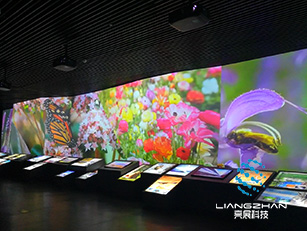 阿爾山地質博物館